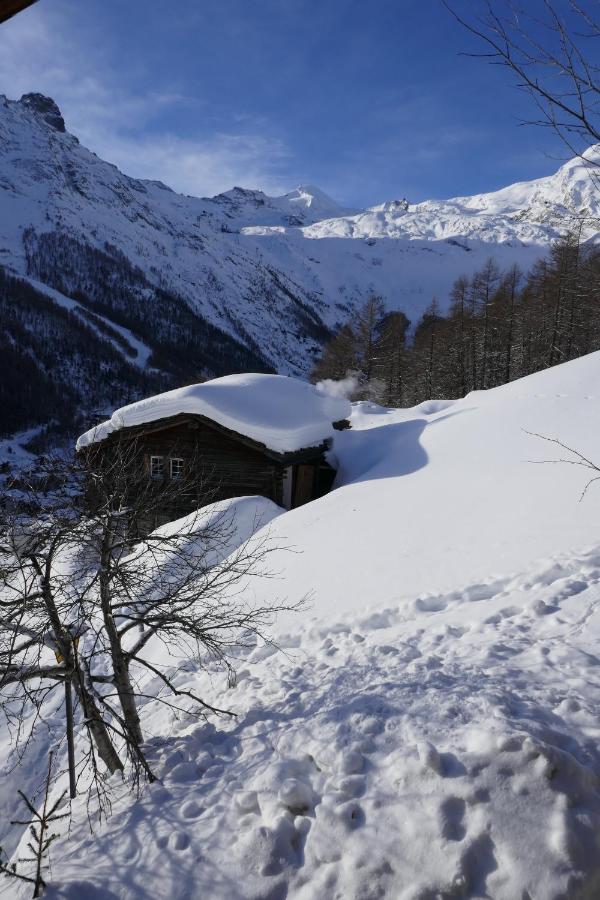 Châlet Birkhahn Saas-Fee Exterior foto