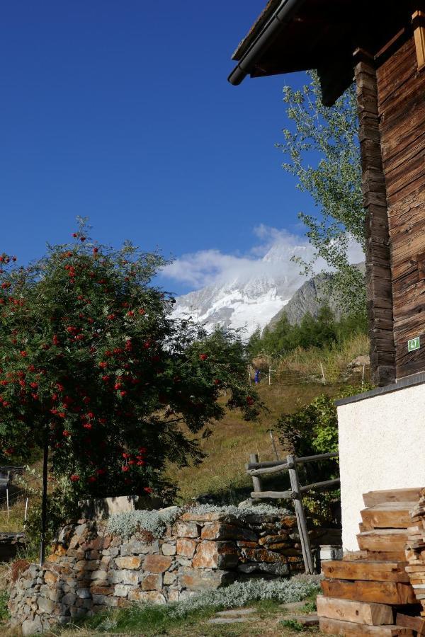 Châlet Birkhahn Saas-Fee Exterior foto