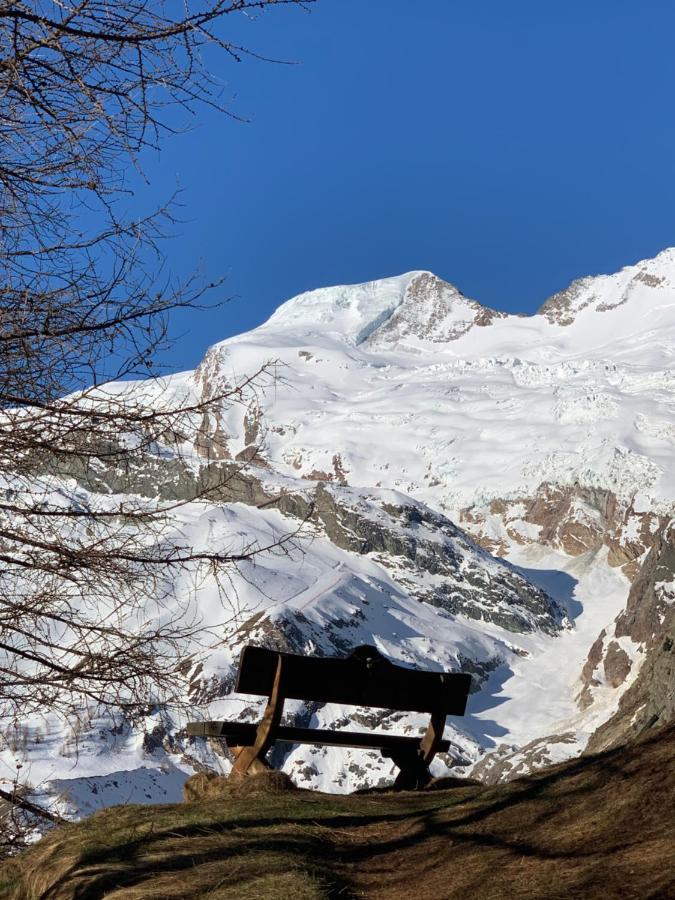 Châlet Birkhahn Saas-Fee Exterior foto