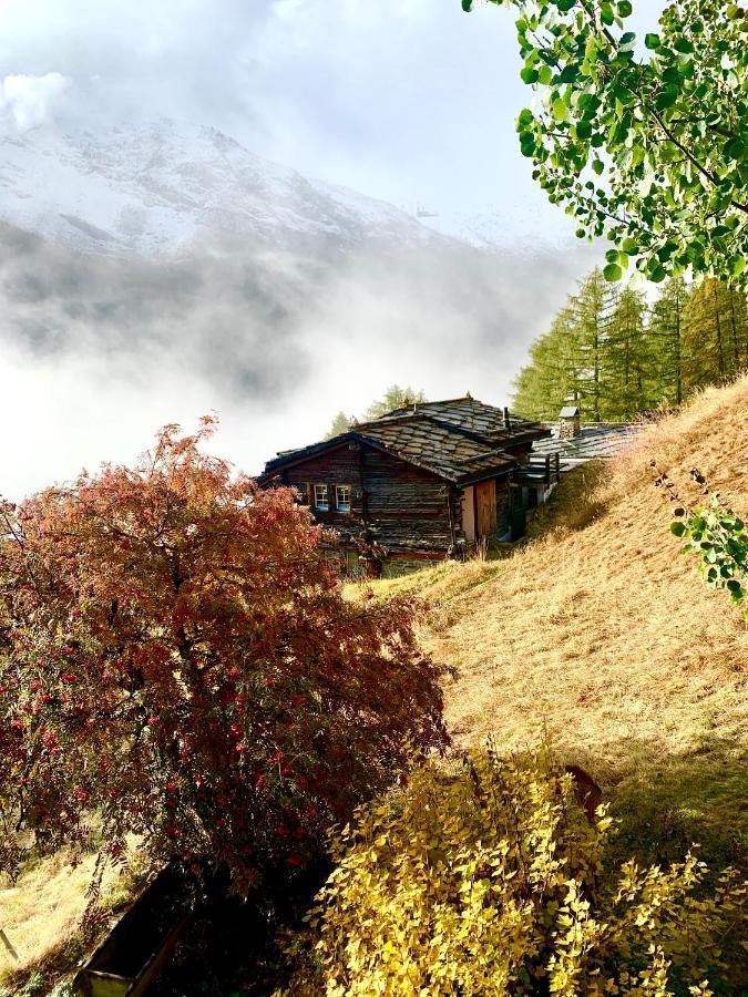 Châlet Birkhahn Saas-Fee Exterior foto