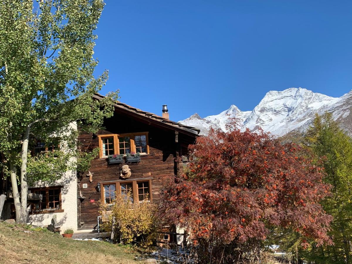 Châlet Birkhahn Saas-Fee Exterior foto