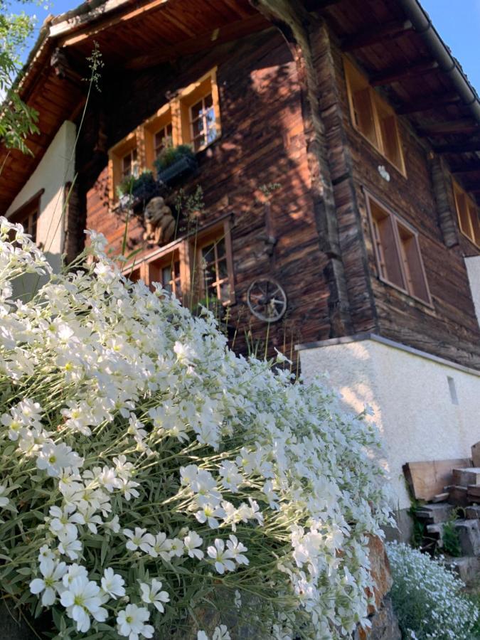 Châlet Birkhahn Saas-Fee Exterior foto