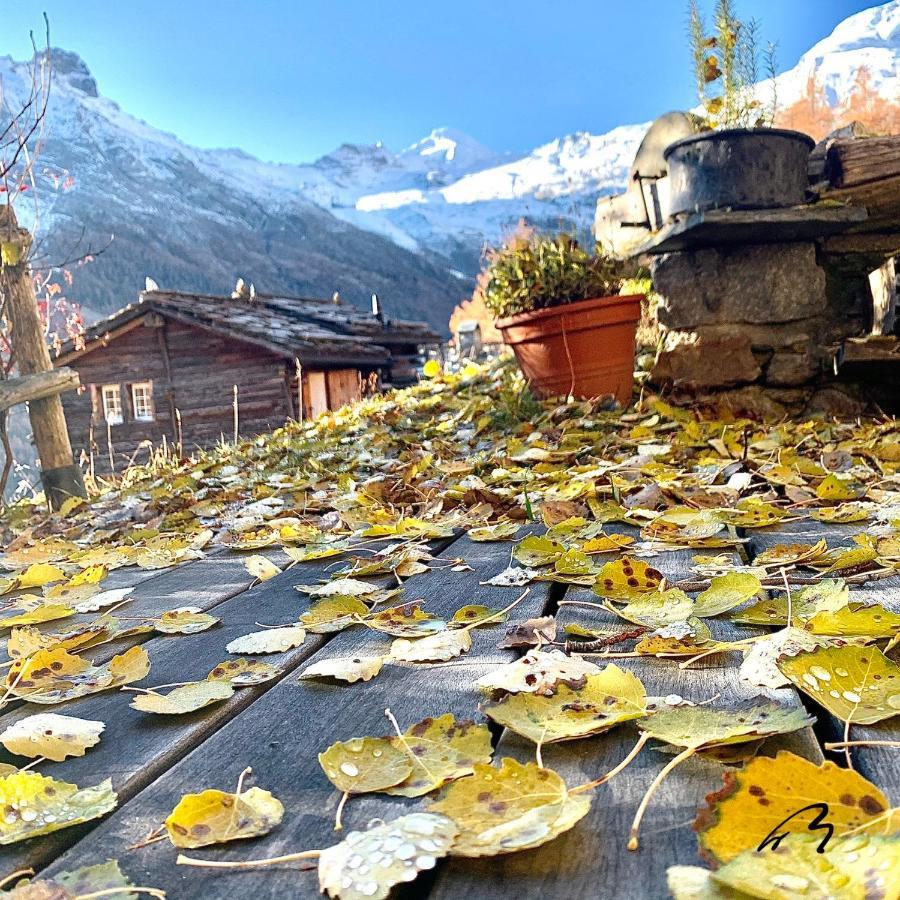 Châlet Birkhahn Saas-Fee Exterior foto